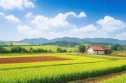 精产国品一二三产区区别9977，深度解析与市场影响