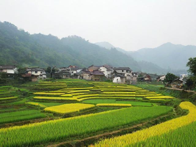 农村露脸贵在真实，回归本真，方能动人