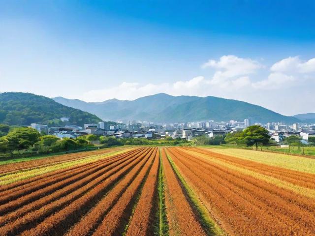 日本二线产区产业结构解析，区域经济的潜力与挑战