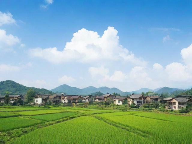 2024蚂蚁新村今日答案最新，每日挑战助力乡村振兴