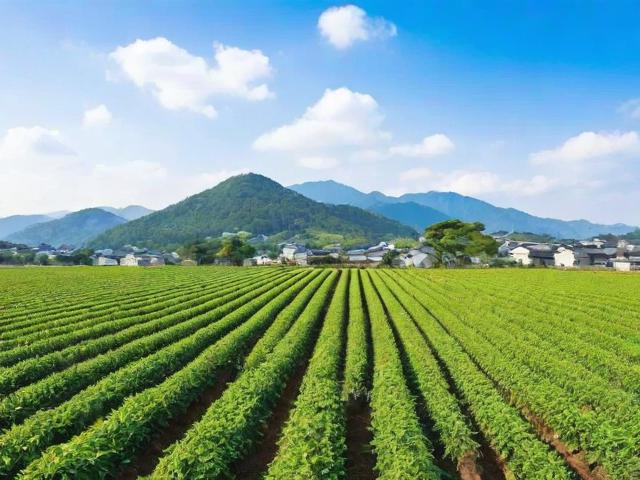 亚洲日本一线产区与二线产区在哪里？