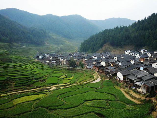 青林村纪事，那又黑又粗的百年记忆