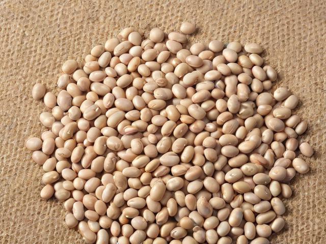 麻豆精产国品一二三产区区别免费解析