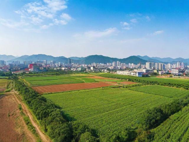 97精产国品一二三产区，中国产业升级的典范与未来路径