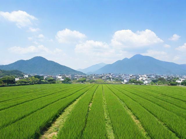 亚洲日本，一线产区与二线产区的对比分析