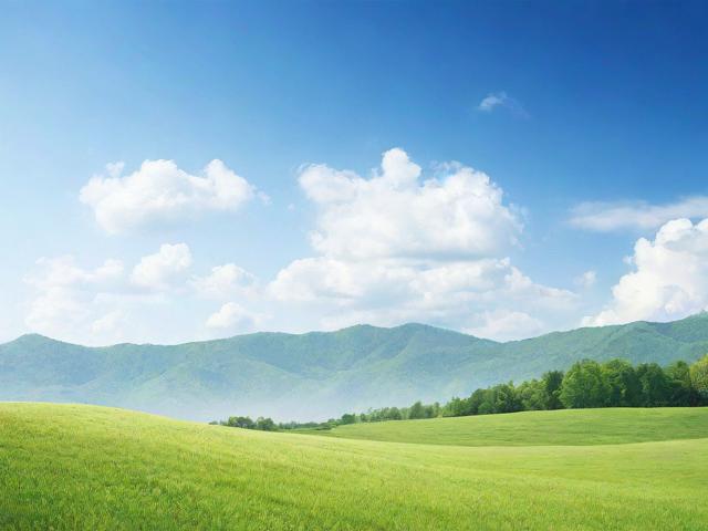 成品网站解软件大全，一站式解决方案助您轻松建站