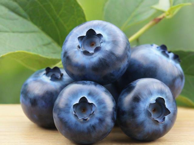 蓝莓视频成品人APP下载苹果，全面解析与使用指南