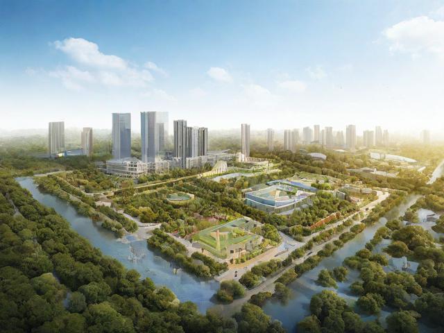 仙踪林Corporation大陆战略布局，绿色产业与可持续发展的新篇章