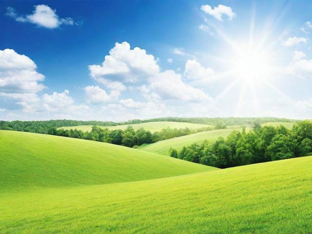 如何获取最新地址，全面指南与实用技巧