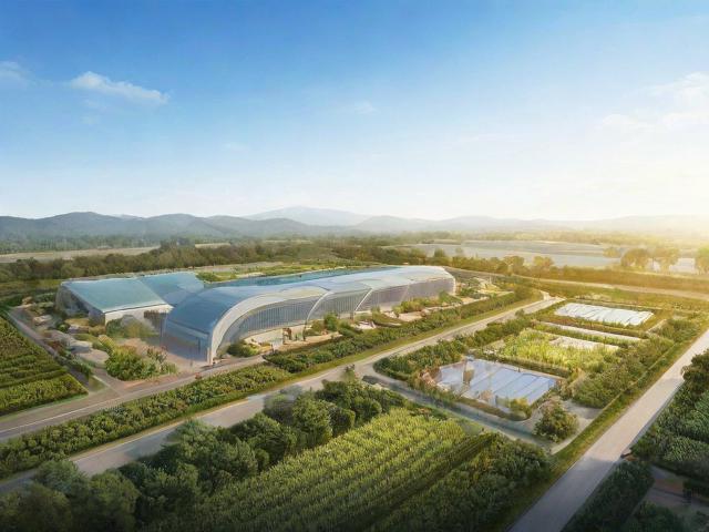 精产国品一二三产区区别解析，品质、工艺与市场定位的全方位对比